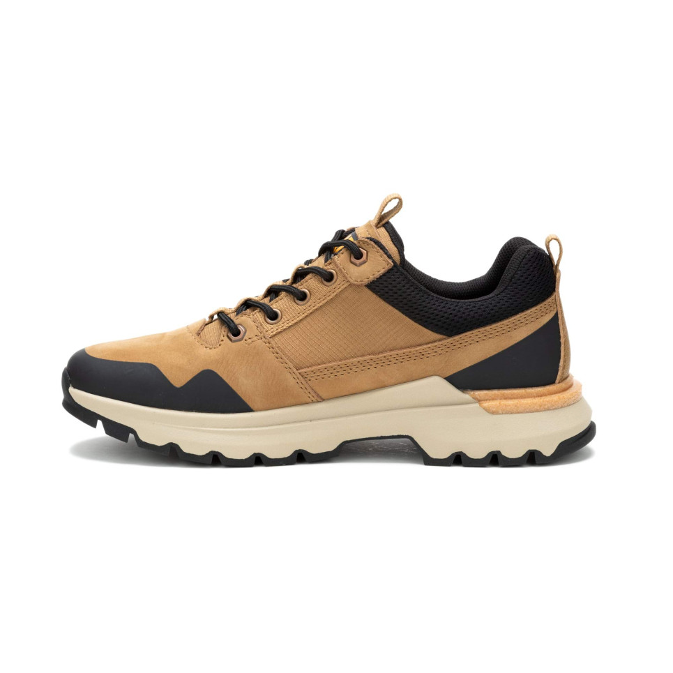 Colorado Sneaker Lo