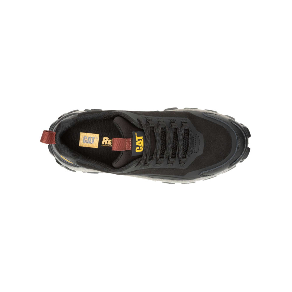 INTRUDER LITE