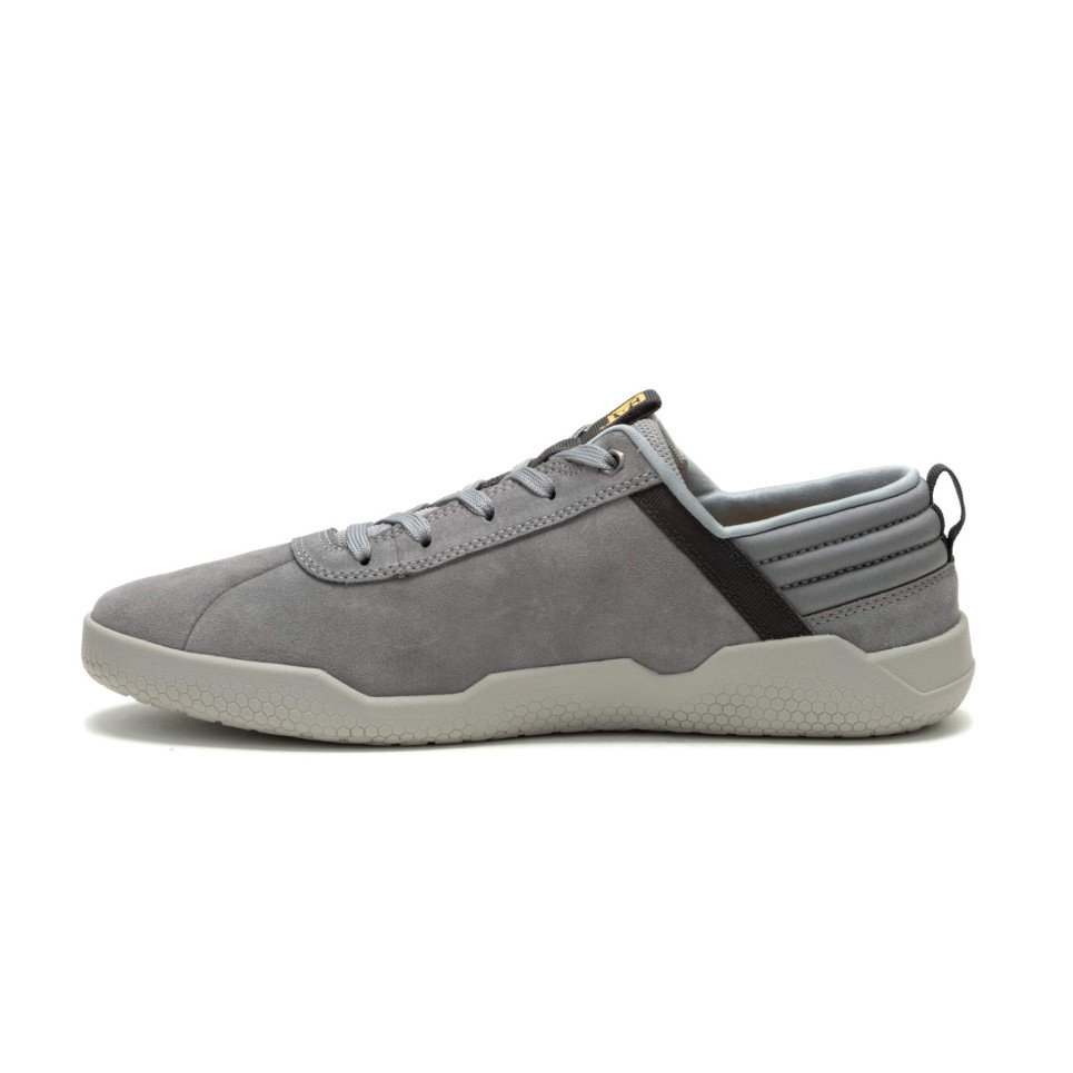 HEX-grey-40