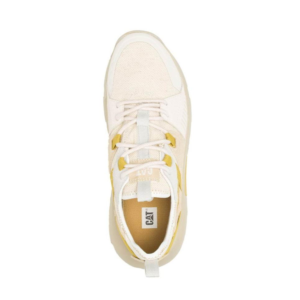 RAIDER -yellow/gold-36