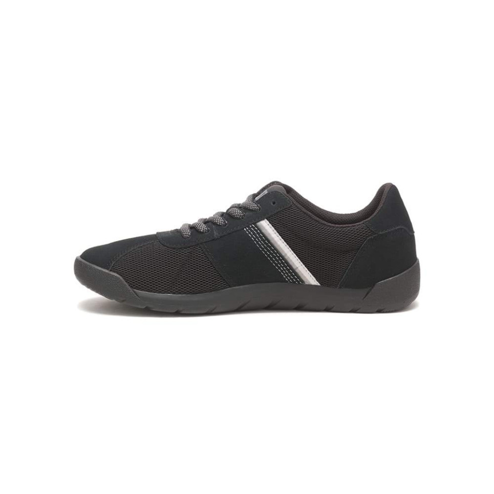 SEARCH-black-40